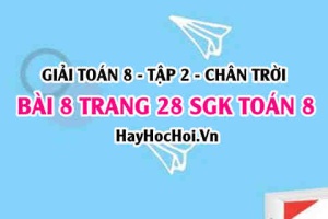 Bài 8 trang 28 Toán 8 Tập 2 Chân trời sáng tạo